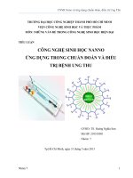 công nghệ sinh học nano và ứng dụng chuẩn đoán, điều trị ung thư