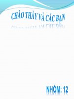 tìm hiểu công ty logistics vinastarlines