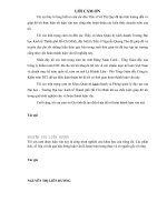 PHÂN TÍCH  SỰ KHÁC BIỆT ẢNH HƯỞNG CHUẨN MỰC KẾ TOÁN VIỆT NAM VÀ QUỐC tế