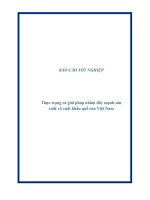 Thực trạng và giải pháp nhằm đẩy mạnh sản xuất và xuất khẩu Quế của Việt Nam