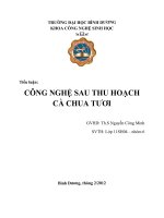 tiểu luận: công nghệ sau thu hoạch cà chua tươi