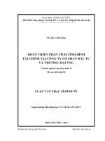 Hoàn thiện phân tích tình hình tài chính tại công ty cổ phần đầu tư và thương mại TNG
