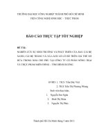 ảnh hưởng của tỉ lệ tro trấu đến sự sinh trưởng của cải bẹ xanh, cải bẹ trắng và xà lách