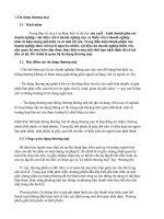 tiểu luận tìm hiểu về thương phiếu