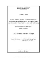 Nghiên cứu vai trò của E. Coli, Salmonella, Clostridium Perfringens gây tiêu chảy ở lợn tại 3 tỉnh miền núi phía Bắc và biện pháp phòng trị
