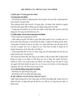 hệ thống các trung gian tài chính và cơ chế lạm phát mục tiêu và khả năng áp dụng vào việt nam