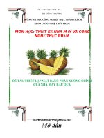 thiết lập mặt bằng chính của nhà máy rau quả  dứa