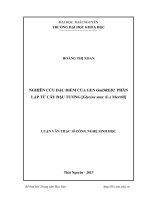 Nghiên cứu đặc điểm của Gen GmDreb2 phân lập từ cây đậu tương Glycine max (L.) Merrill