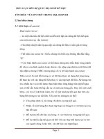 tìm hiểu về con trỏ trong sql server