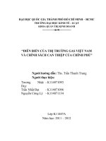 diễn biến của thị trường gas việt nam và chính sách can thiệp của chính phủ