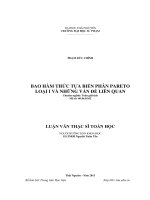 Bao hàm thức tựa biến phân Pareto loại I và những vấn đề liên quan