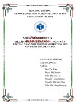 Phân tích những tác động của các tác nhân môi trường marketing đến sản phẩm trà dr.thanh