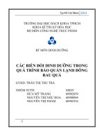 Đề tài các BIẾN đổi DINH DƯỠNG TRONG QUÁ TRÌNH bảo QUẢN LẠNH ĐÔNG RAU QUẢ