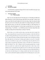 tiểu luận đánh giá cảm quan