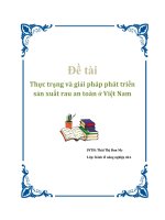 ĐỀ TÀI: Thực trạng và giải pháp phát triển sản xuất rau an toàn ở Việt Nam