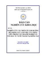 Luận văn kinh tế  Nghiên cứu các nhân tố ảnh hưởng đến động lực làm việc của nhân viên trong các doanh nghiệp có vốn đầu tư nước ngoài tại đồng nai