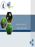 đánh giá kinh tế rừng ngập mặn