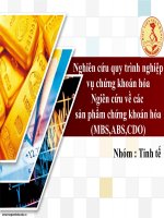 Nghiên cứu quy trình nghiệp vụ chứng khoán hóaNgiên cứu về các sản phẩm chứng khoán hóa (MBS,ABS,CDO)