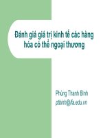 slide bài giảng đánh giá giá trị kinh tế các hàng hóa có thể ngoại thương lecture 8 - economic valuation of tradeables
