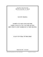 Nghiên cứu khả năng hấp phụ Fe (III), Cr (VI) của các vật liệu đá ong biến tính và thử nghiệm xử lý môi trường