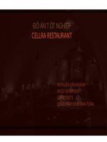 luận văn thiết kế nội thất cellar restaurant