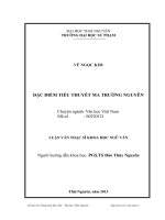 Đặc điểm tiểu thuyết Ma Trường Nguyên