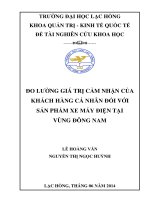 Luận văn kinh tế Đo lường giá trị cảm nhận của khách hàng cá nhân đối với sản phẩm xe máy điện tại vùng đông nam bộ