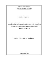 Nghiên cứu thành phần hóa học cây Na rừng ( Kadsura Induta) họ Schisandraceae ở SaPa, Lào Cai