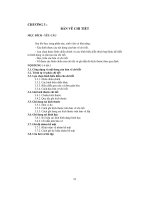 Bản vẽ chi tiết (đồ họa)