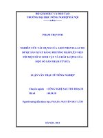 Nghiên cứu tác dụng của axit phenyllactic được sản xuất bằng phương pháp lên men tới một số vi sinh vật và chất lượng của một số sản phẩm từ dứa