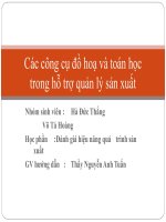 các công cụ đồ hoạ và toán học trong hỗ trợ quản lý sản xuất