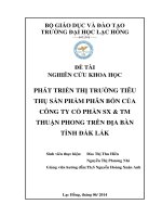 Luận văn kinh tế  Phát triển thị trường tiêu thụ sản phẩm phân bón của công ty cổ phần sản xuất và thương mại thuận phong trên địa bàn tỉnh đắk lắk