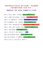 NGUYÊN LÝ TÁC ĐỘNG VÀ PHƯƠNG PHÁP CHỈNH ĐỊNH RƠLE BẢO VỆ TRONG HỆ THỐNG ĐIỆN 500KV VIỆT NAM SỬ DỤNG RƠLE 7SA513 7UT513 7UT23 của SIEMENS, LFCB102 LFAA102 MCAG14 MCGG MAVS01 MVTU13 của ALSTOM, SEL321của SCHWEITZER