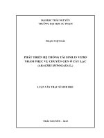 Phát triển hệ thống tái sinh In Vitro nhằm phục vụ chuyển gen ở Cây Lạc (Arachis Hypogaea L.)