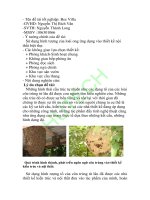 luận văn thiết kế nội thất bee villa