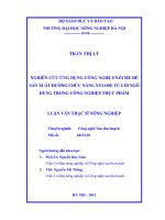 Nghiên cứu ứng dụng công nghệ enzyme để sản xuất đường chức năng xylose từ lõi ngô dùng trong công nghiệp thực phẩm