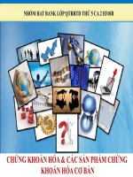 CHỨNG KHOÁN HÓA  CÁC SẢN PHẨM CHỨNG KHOÁN HÓA CƠ BẢN
