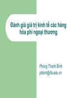 slide bài giảng đánh giá giá trị kinh tế các hàng hóa phi ngoại thương lecture 7 - economic valuation in a closed economy