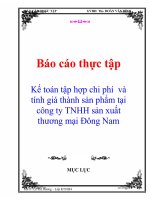 Báo cáo thực tập kế toán tập hợp chi phí và tính giá thành sản phẩm