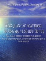 tổng quan các hoạt động thương mại về sở hữu trí tuệ
