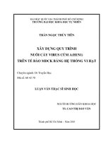 Xây dựng quy trình nuôi cấy virus cúm a(h1n1) trên tế bào mdck bằng hệ thống vi hạt