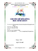 phương pháp rèn luyện kĩ năng làm bài tập ngữ âm cho hsg 9