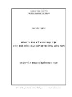 hình thành kỹ năng học tập cho trẻ mẫu giáo lớn ở trường mầm non