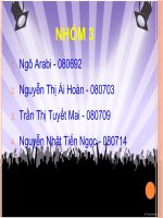 phân tích hoạt động xuất nhập khẩu : mặt hàng xuất khẩu tiềm năng -  xuất nhập khẩu công ty tm-xd bạch đằng