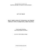 phát triển kinh tế tỉnh đắk lắk trong thời kỳ công nghiệp hóa, hiện đại hóa