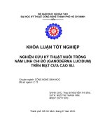 nghiên cứu kỹ thuật nuôi trồng nấm linh chi đỏ trên mạt cưa cao su