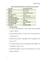 PHÂN TÍCH MÔI TRƯỜNG KINH DOANH MYANMAR