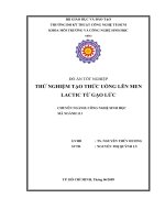 thử nghiệm tạo thức uống lên men lactic từ gạo lức