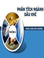 phân tích ngành dầu khí