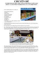 Cơ hội thách thức đối với ngành hàng nước giải khát và giải pháp marketing của tân hiệp phát